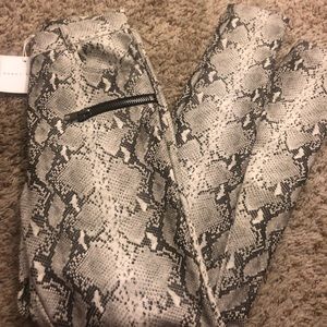 Honey Punch Dolls Kill Snakeskin Pants